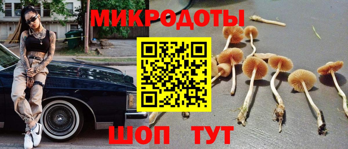 Псилоцибиновые грибы Psilocybe Якутск
