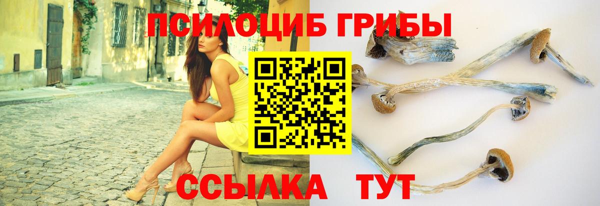 Якутск  Псилоцибиновые грибы ЛСД  как найти закладки  Псилоцибиновые грибы ЛСД  Вход с VPN 